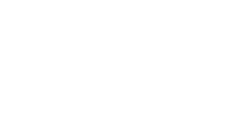 logo weiss